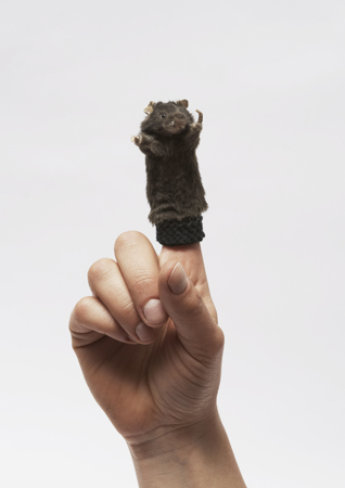 Noortje Zijlstra - Finger Puppet, 2013