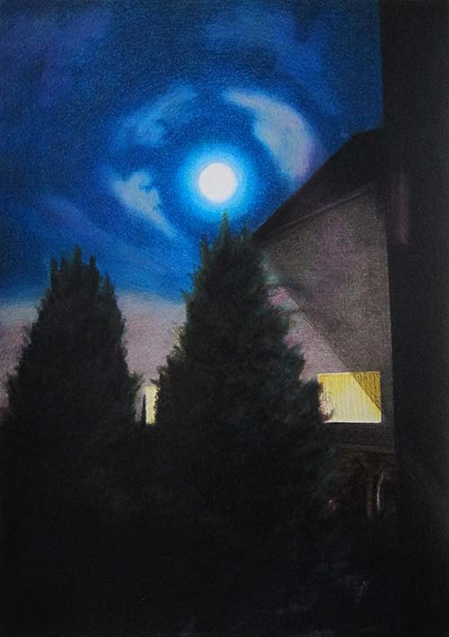 Conifer symphony #1