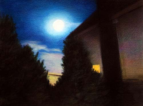 Conifer symphony #2