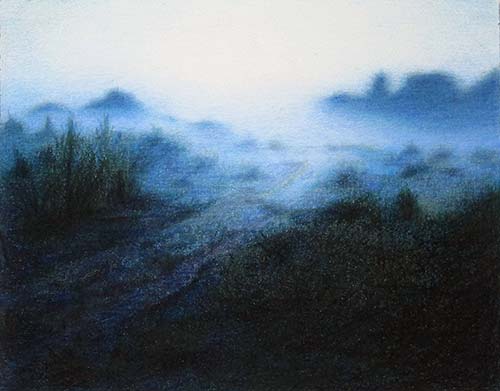 evening observations #1