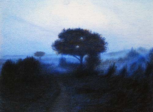 evening observations #2